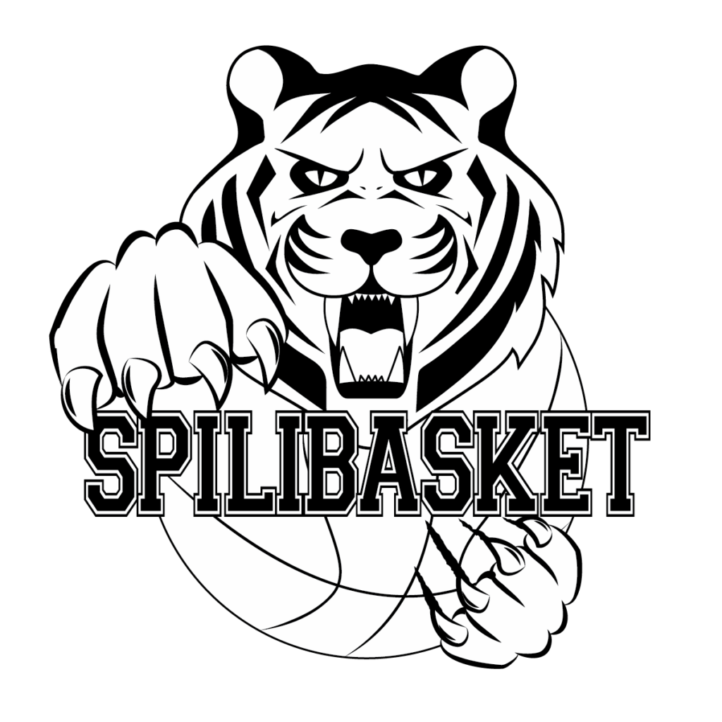 Spilibasket